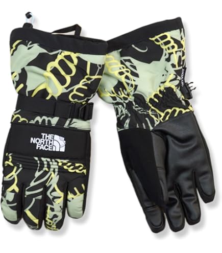 Amazon.com: The North Face Men's Montana Ski Mitt, TNF Black